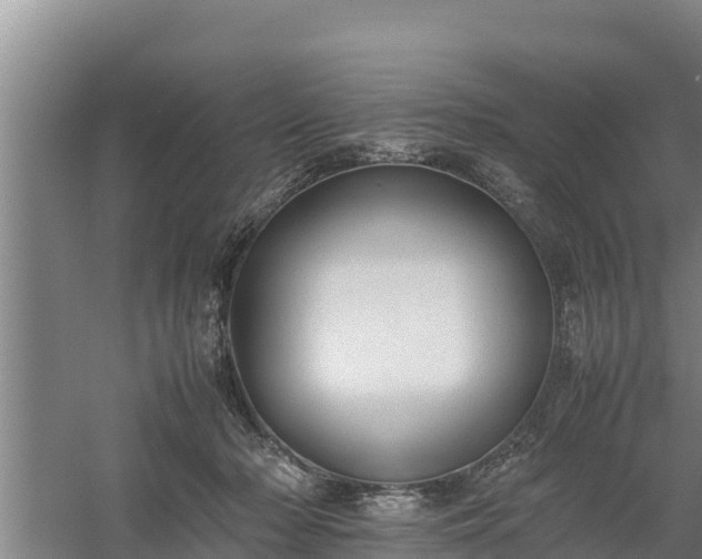 X0000058130318200509301959