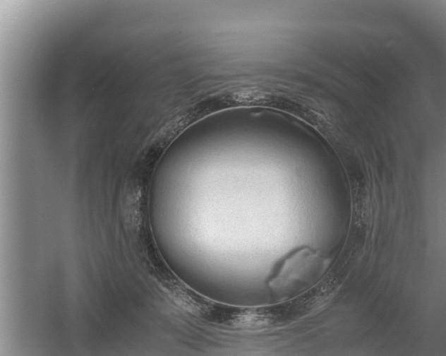 X0000058130319200509301959