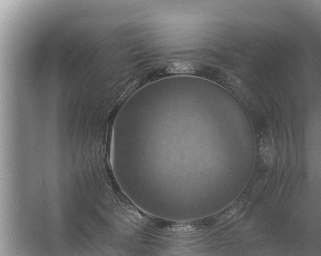 X0000058130322200509301959