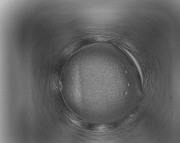 X0000058130325200509301959