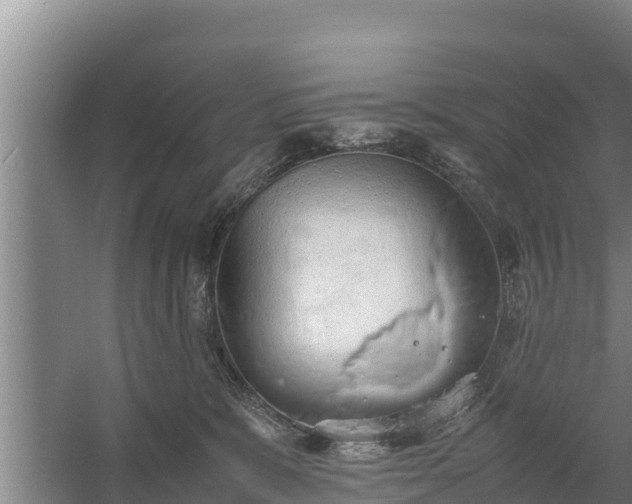 X0000058130327200509301959