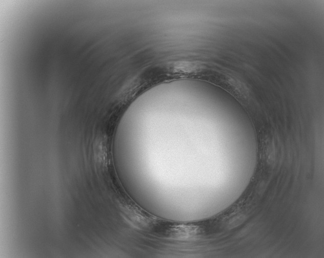 X0000058130328200509301959