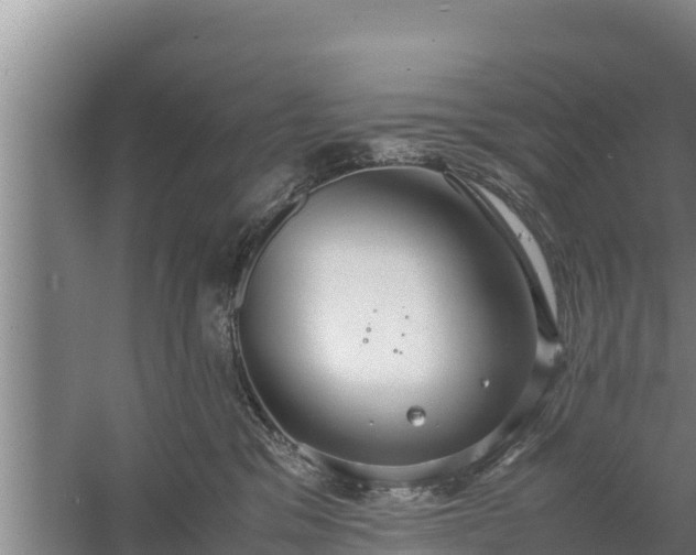 X0000058130329200509301959