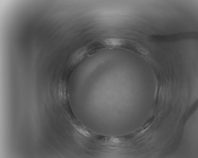 X0000058130330200509301959