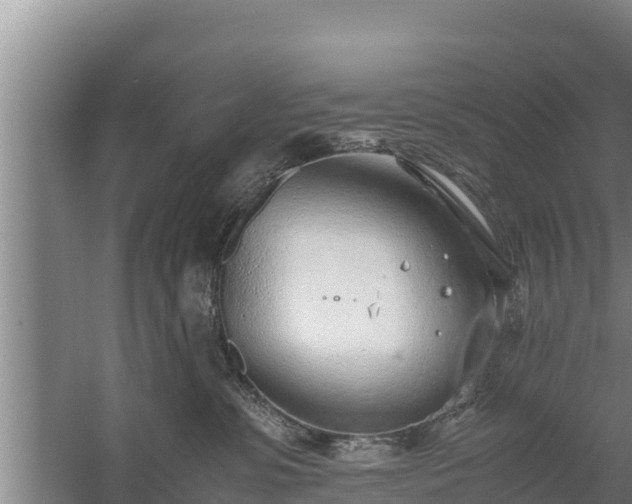 X0000058130331200509301959