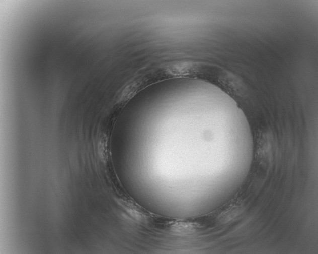 X0000058130332200509301959