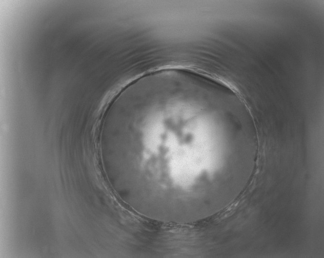 X0000058130337200509301958