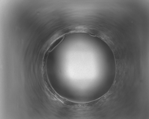 X0000058130338200509301958