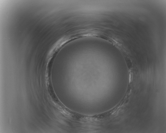 X0000058130339200509301958