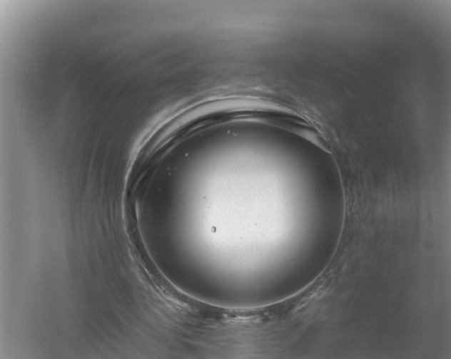 X0000058130340200509301958