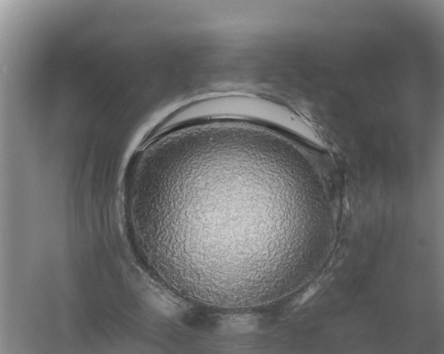 X0000058130342200509301958