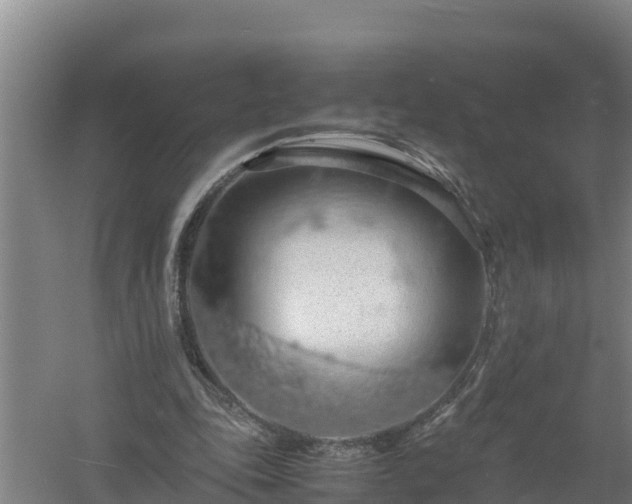 X0000058130343200509301958