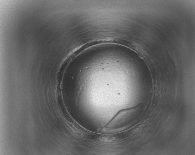 X0000058130346200509301958