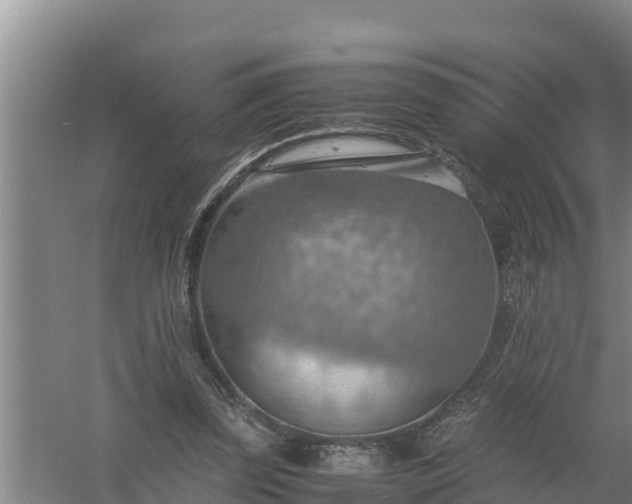 X0000058130347200509301958