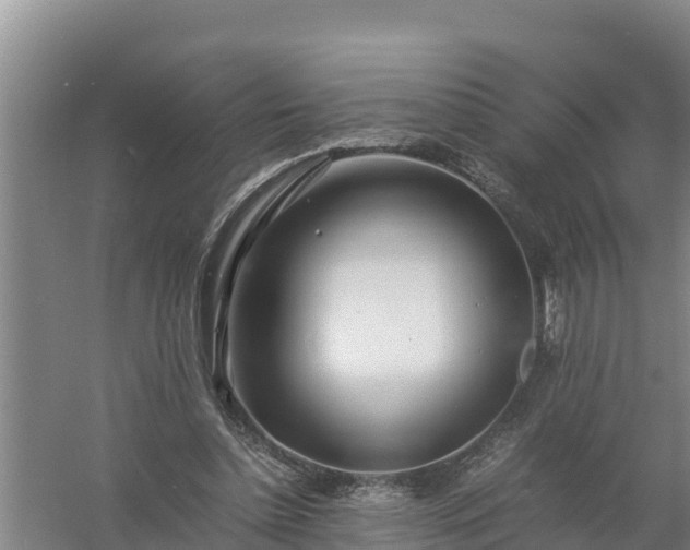 X0000058130348200509301958