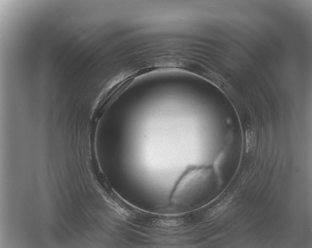 X0000058130349200509301958