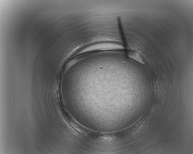 X0000058130352200509301958