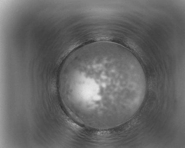 X0000058130353200509301958