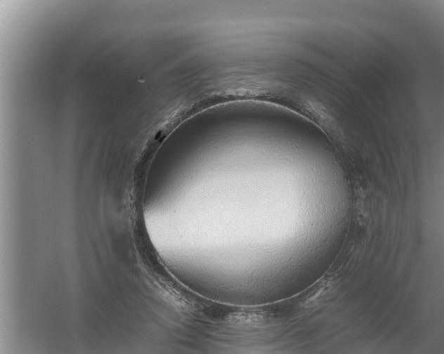 X0000058130354200509301959