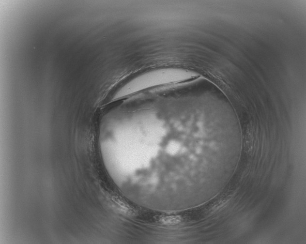 X0000058130355200509301959