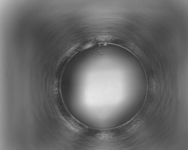 X0000058130356200509301959