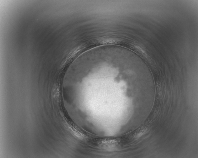 X0000058130357200509301959