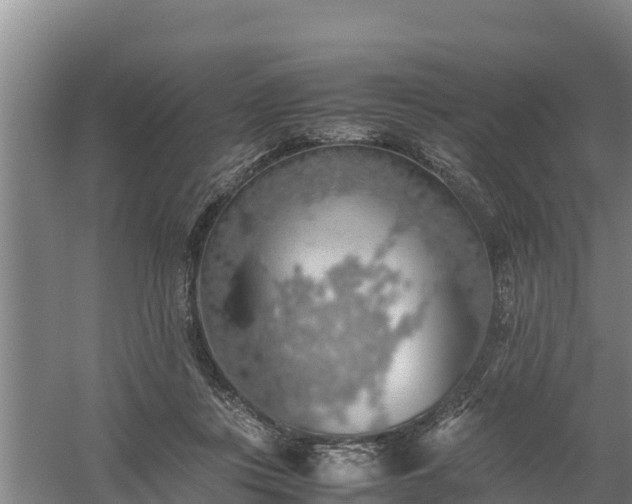 X0000058130359200509301959