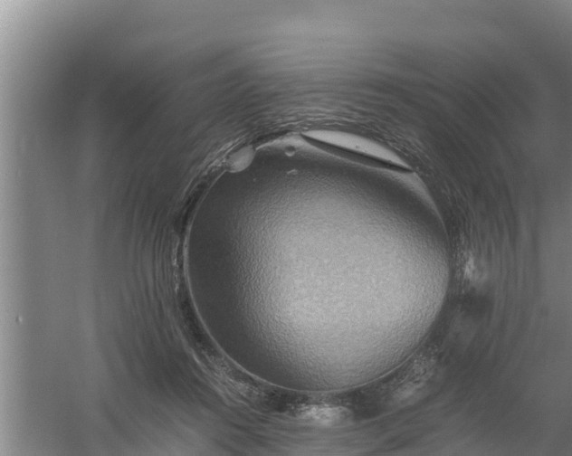 X0000058130360200509301959