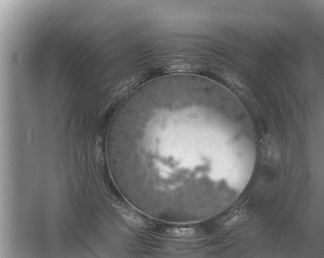 X0000058130361200509301959