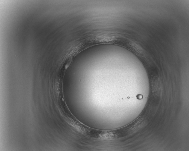 X0000058130362200509301959