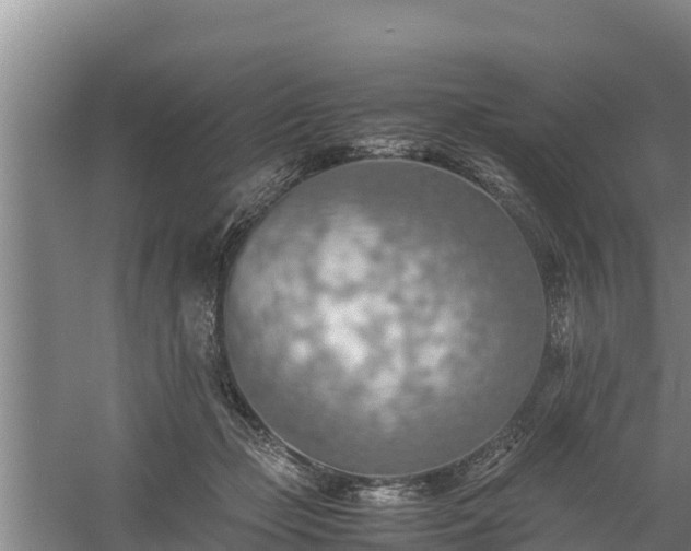 X0000058130365200509301959