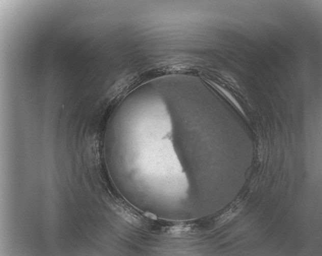 X0000058130366200509301959