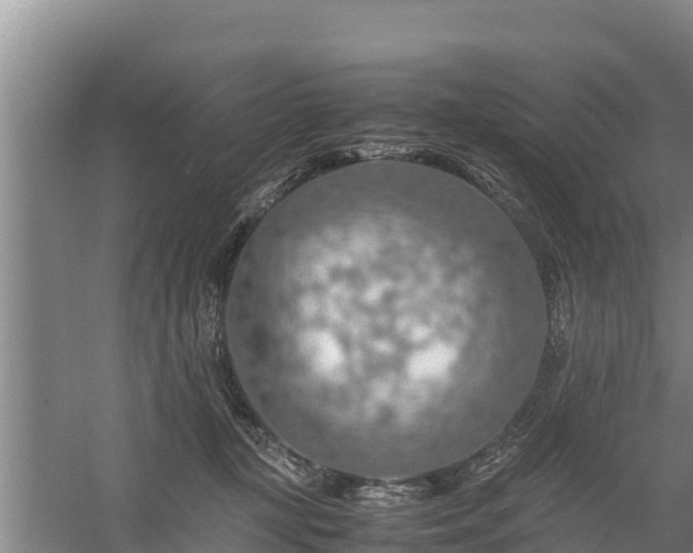 X0000058130367200509301959