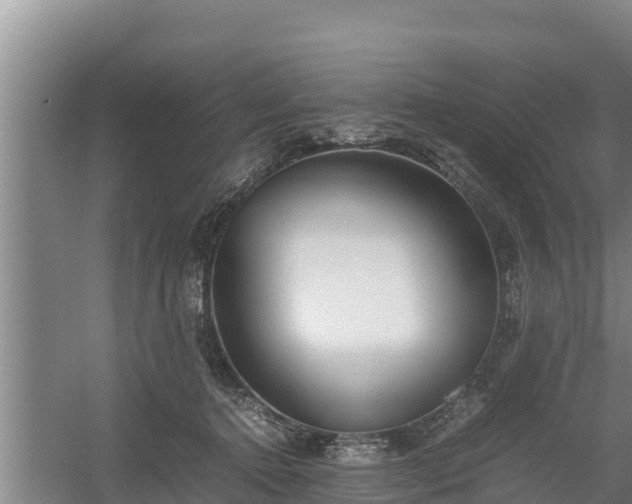 X0000058130368200509301959