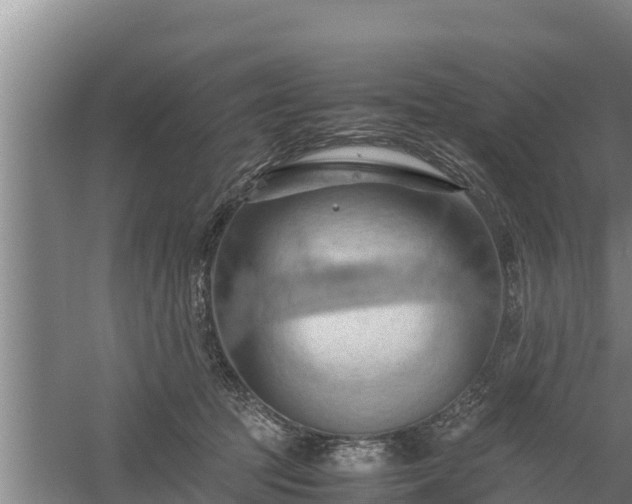 X0000058130369200509301959