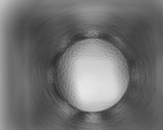 X0000058130370200509301959