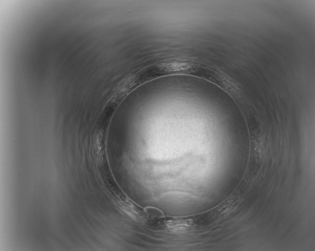 X0000058130373200509301959