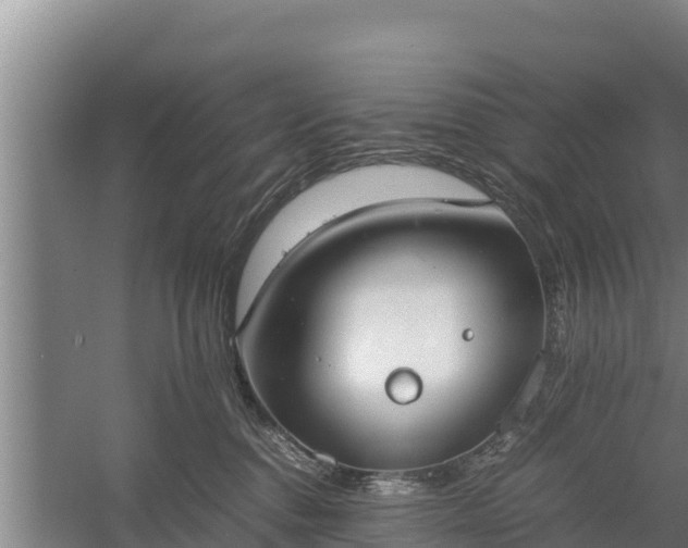 X0000058130376200509301959