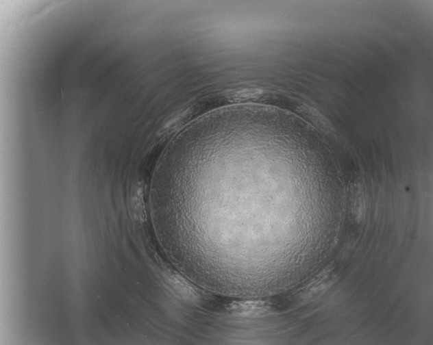 X0000058130378200509301959