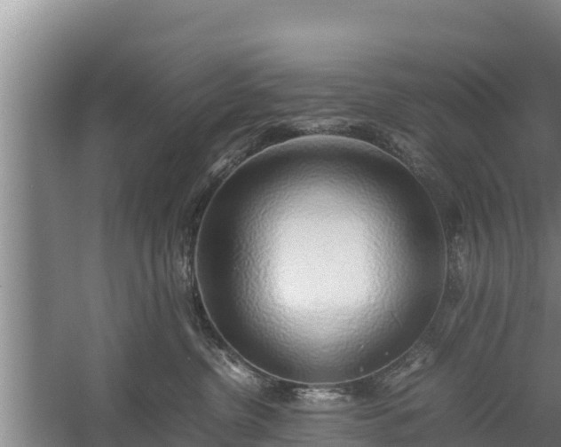 X0000058130380200509301959