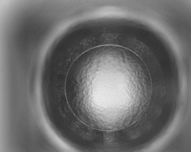 X0000058130382200509301959