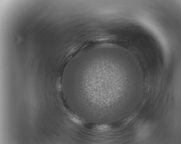 X0000058130383200509301959