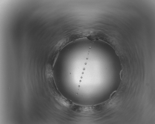 X0000058130384200509301959