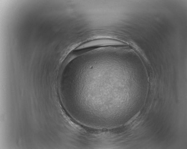 X0000058130385200509301958