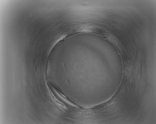 X0000058130386200509301958