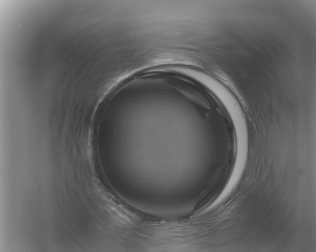 X0000058130387200509301958