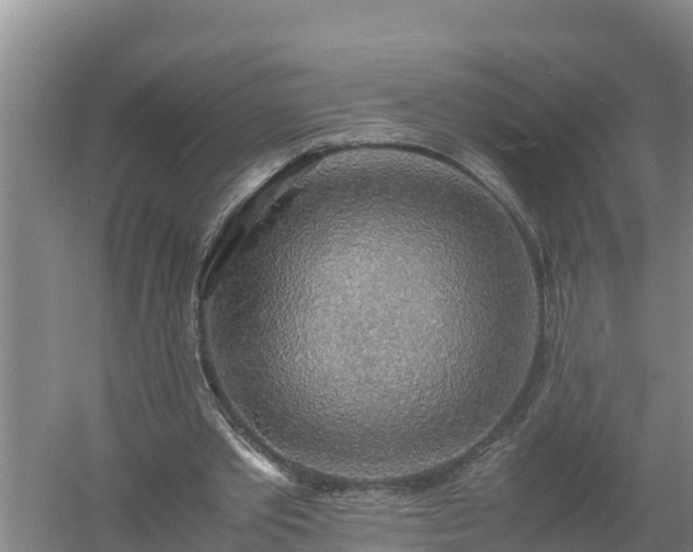 X0000058130389200509301958