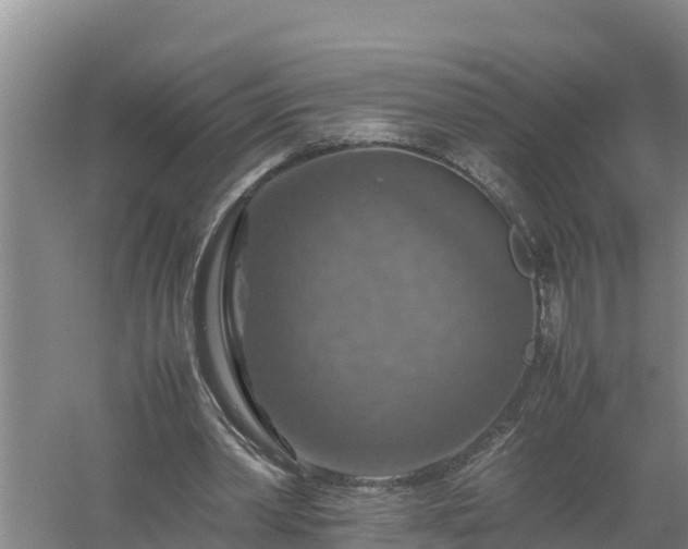 X0000058130390200509301958