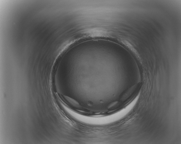 X0000058130391200509301958