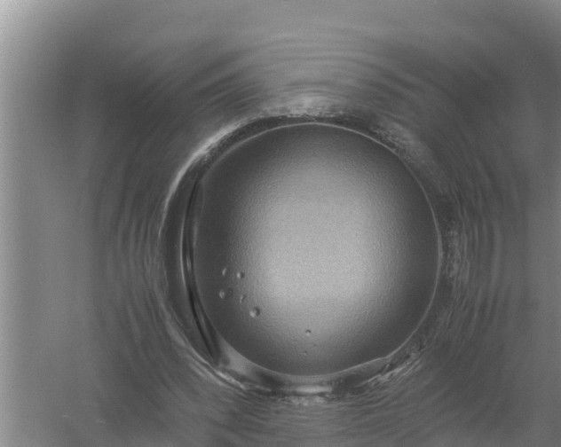 X0000058130392200509301958